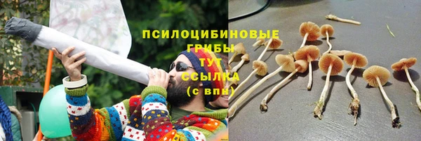 ГАЛЛЮЦИНОГЕННЫЕ ГРИБЫ Верхнеуральск