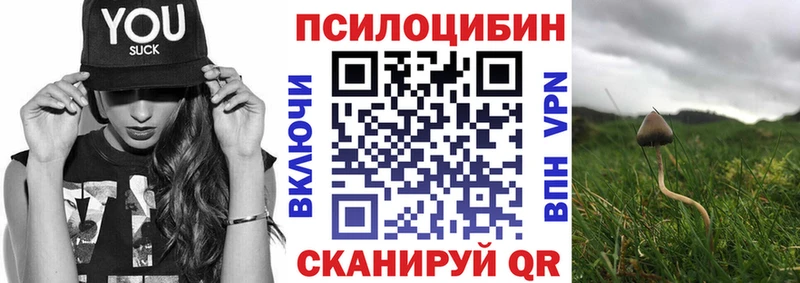 MEGA сколько стоит Качканар Псилоцибиновые грибы Psilocybe